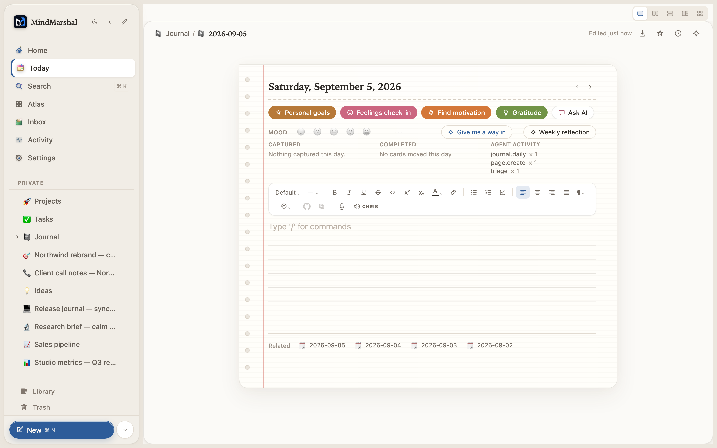 Mind Marshal — the daily journal workflow with a written entry and reflection tools.